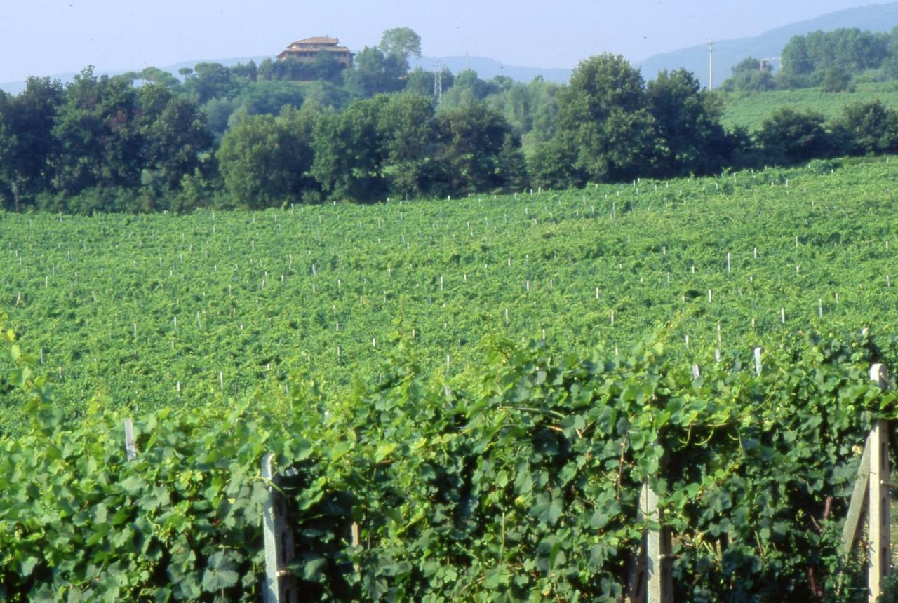 Agriturismo Palazzo Bandino - Wine Cellar, On Reservation Restaurant And Spa Villa Chianciano Terme Exterior photo